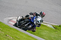 cadwell-no-limits-trackday;cadwell-park;cadwell-park-photographs;cadwell-trackday-photographs;enduro-digital-images;event-digital-images;eventdigitalimages;no-limits-trackdays;peter-wileman-photography;racing-digital-images;trackday-digital-images;trackday-photos